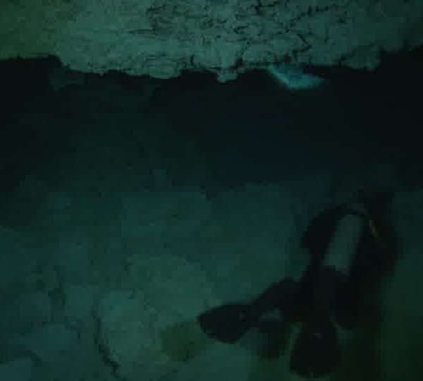 Cenote_Jacques_avec_go_pro_dans_haloclean.jpg