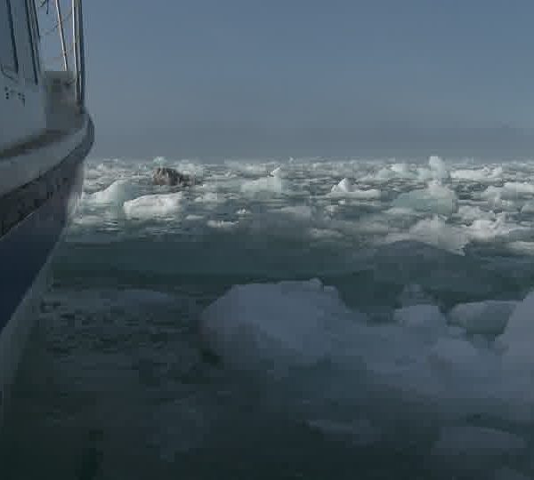 Glace_tape_contre_coque_du_bateau.jpg