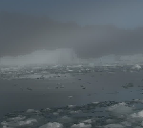 Iceberg_et_brush_dans_brume.jpg