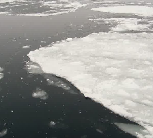 Neige_sur_glace_et_iceberg.jpg