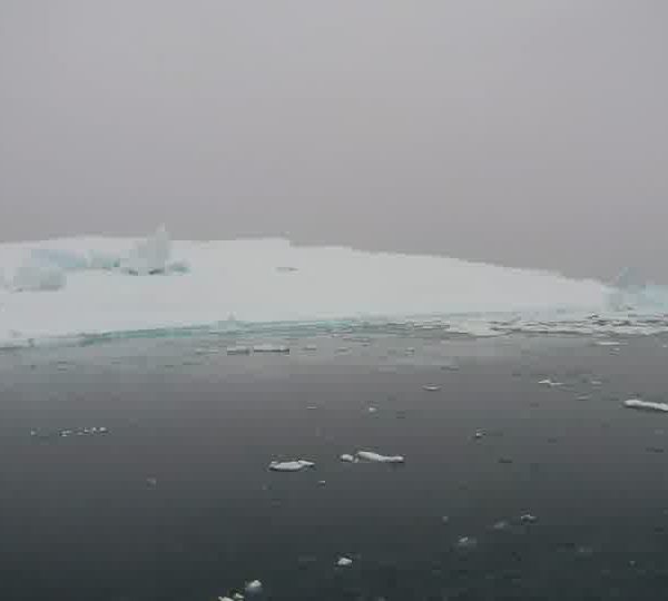 Neige_sur_iceberg_plan_large.jpg