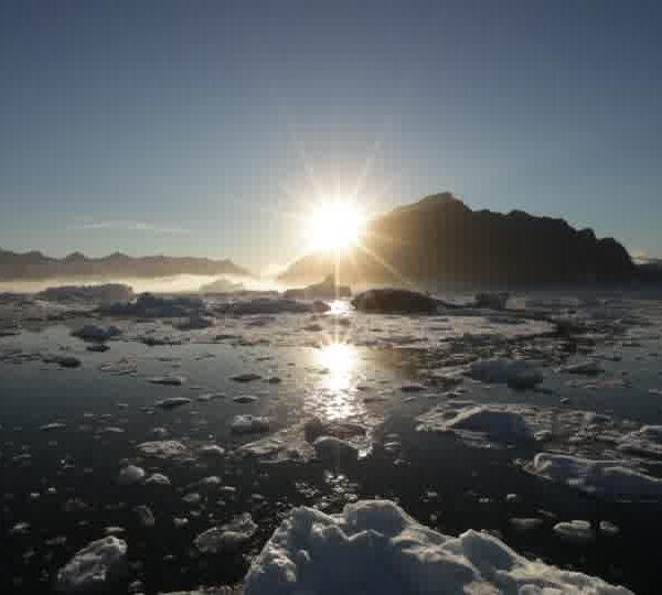 Passage_dans_brasch_soleil_contre_montagne.jpg