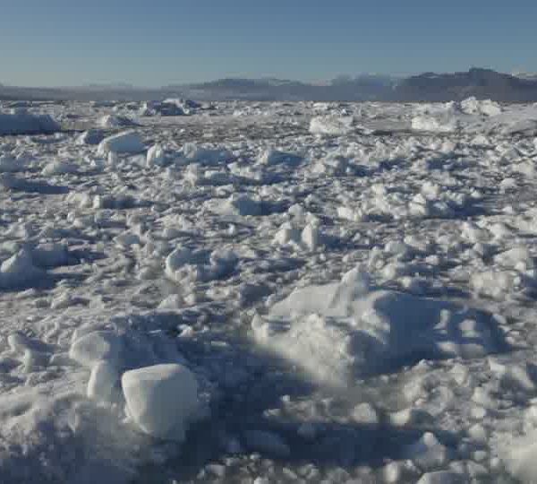 Passage_dans_brash_tapis_de_glace_gros_plan.jpg