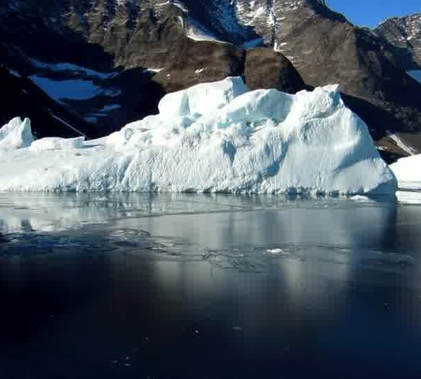 Pellucule_de_glace_devant_iceberg.jpg