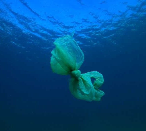 Sac_plastique_blanc_pleine_eau_OK