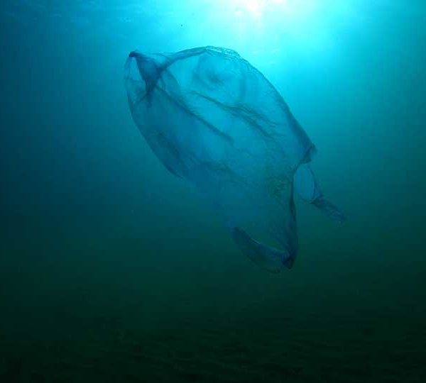 Sac_plastique_bleu_clair_pleine_eau_contre_jour_vient_vers_camera